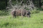safrica_dec_13_image85.jpg
